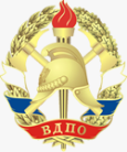 Всероссийское добровольное пожарное общество Ростов-на-Дону