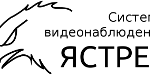 Ястреб
