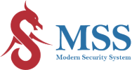 MSS Modern Security System